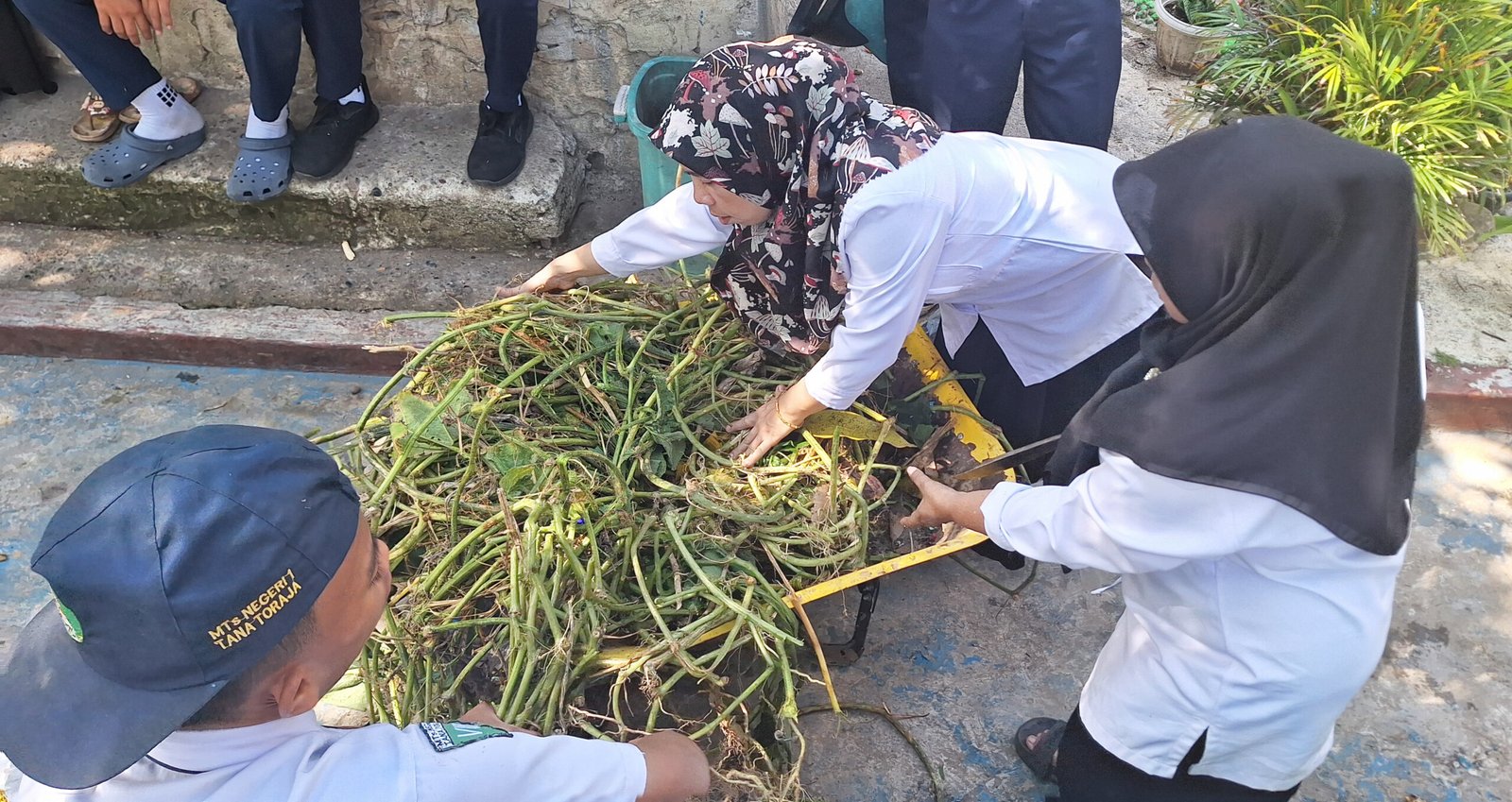 Tempat sampah organik terpisah